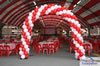balloon arch