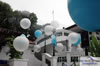 bubble effect